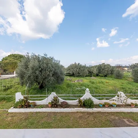 Lotus 1 * Almiros Beach